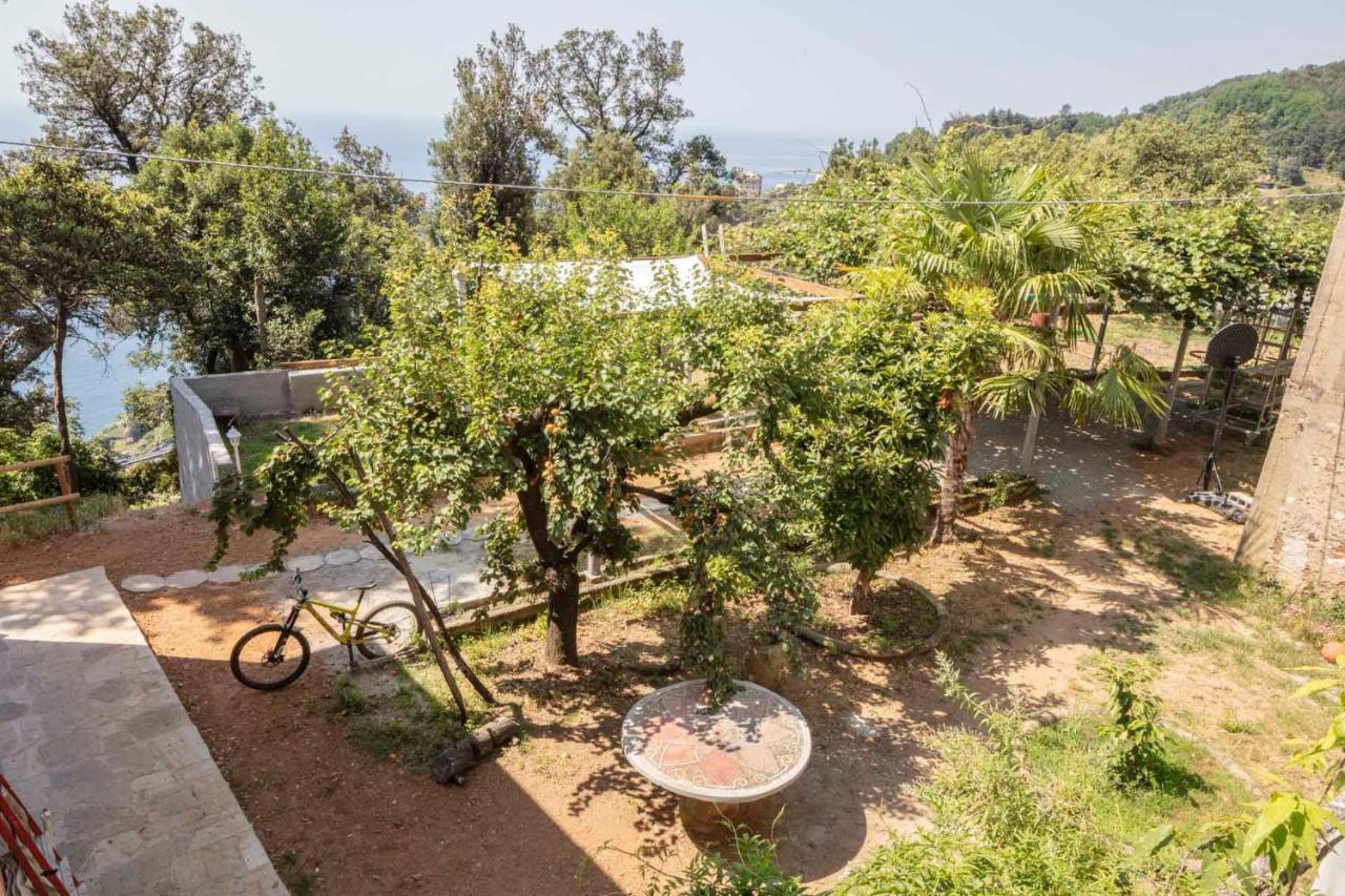 La Brigna B&B Il Bosco Sul Mare Genova Kültér fotó